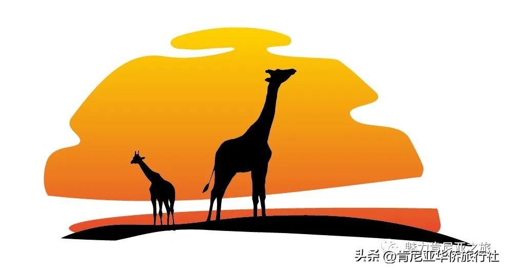 2023年肯尼亚入境须知大全