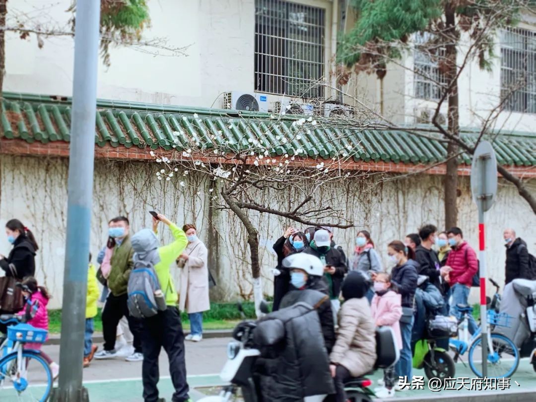 2022年的南京和以前的南京,南京十年变化照片