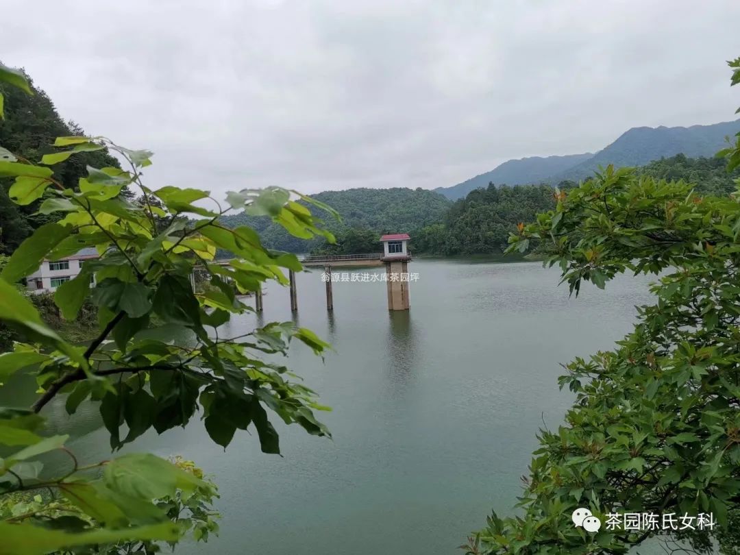 月经也有真假之分吗,真的有假性月经么