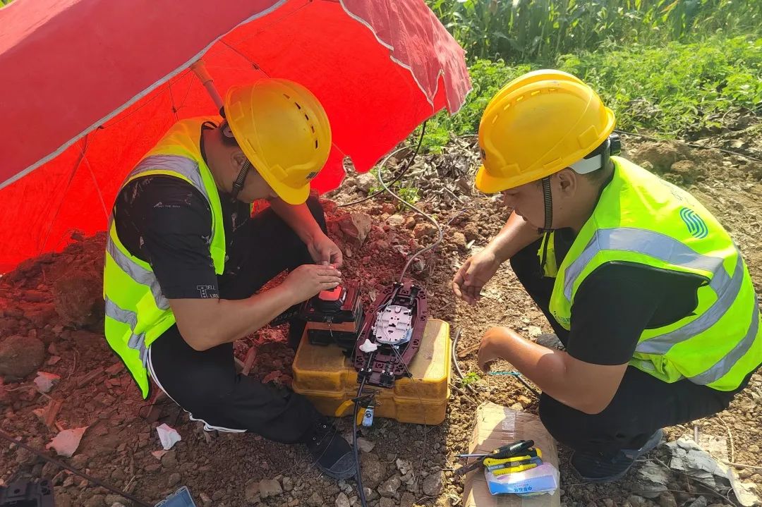 我的工位的日常,我的工位