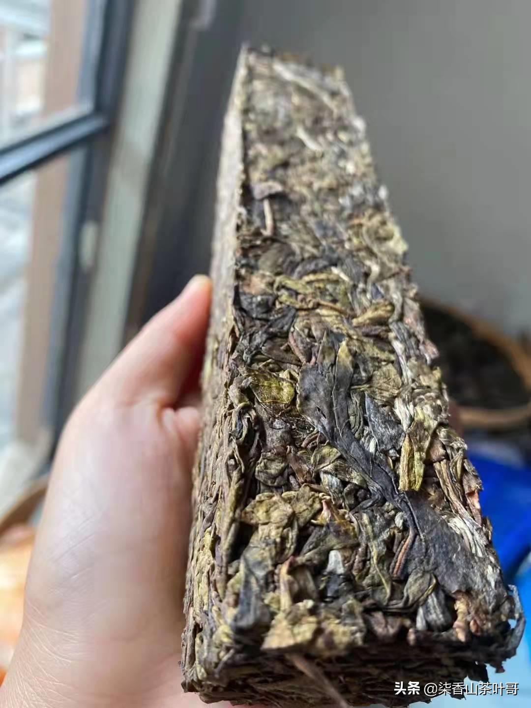 被遗弃的宝藏，古树黄片的优势，它到底用什么抓住喝茶的人的嘴？