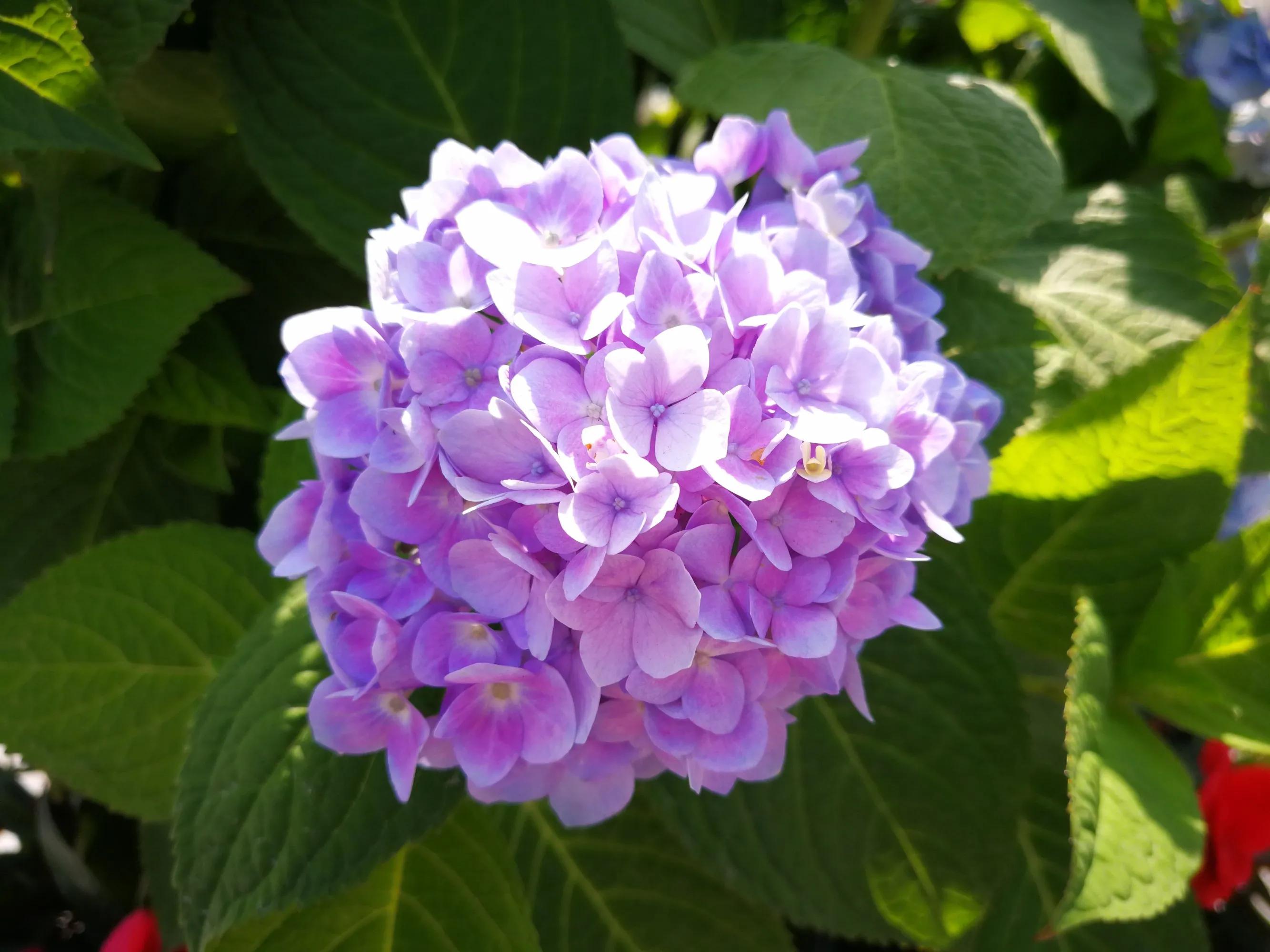 100种迷人的“数字花”,从零到一百万,真是太神奇了