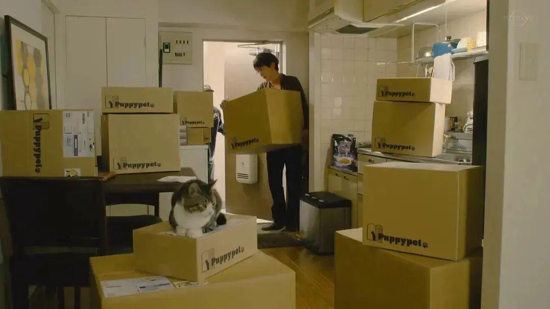 房东押金不退一招要回,如何向非法房东索赔