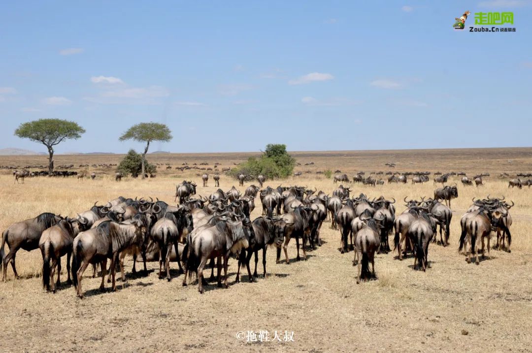 一双拖鞋走遍东南亚,一双拖鞋走世界原版