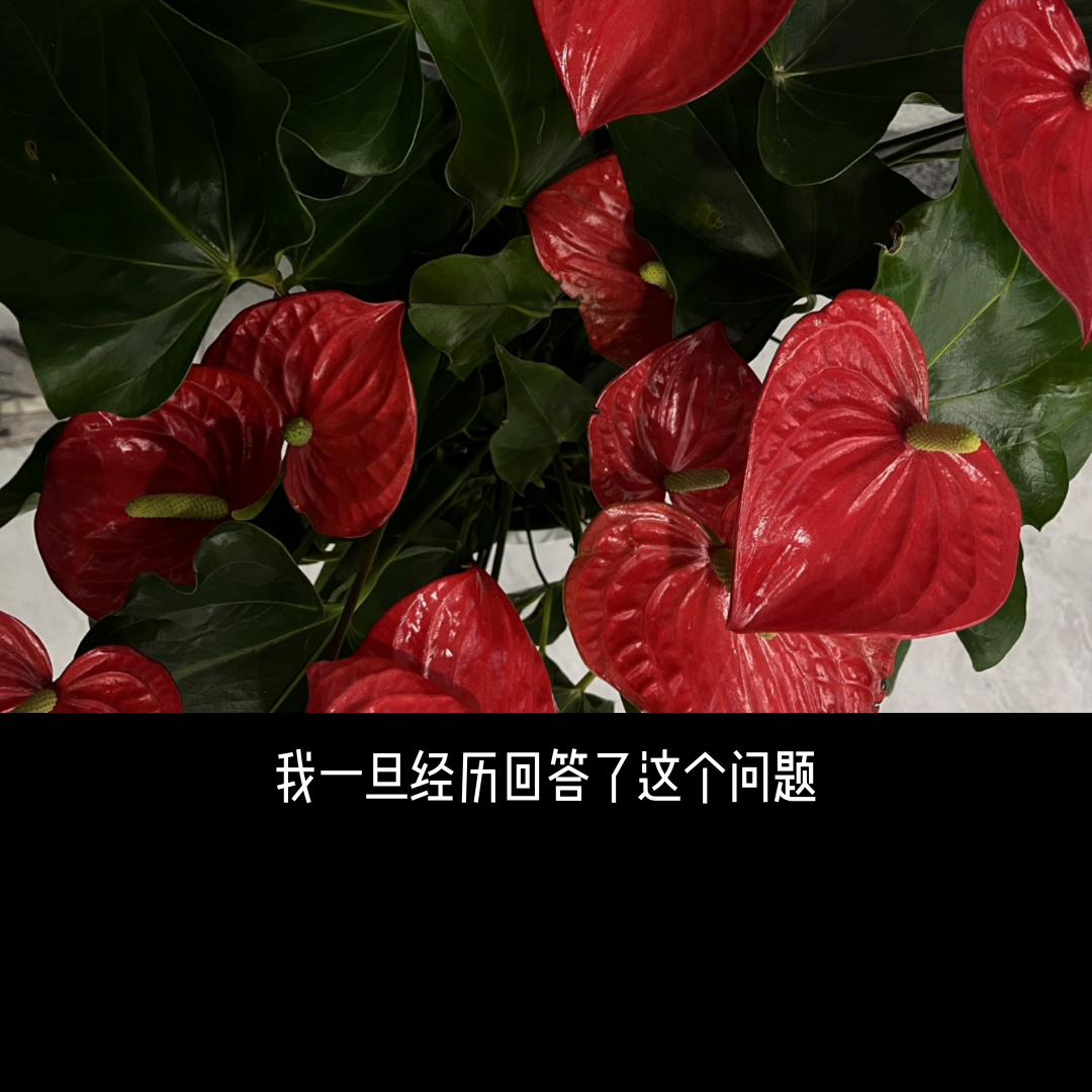 80后（不限于这代人）。出路在哪里？其实保持纵横的动态...