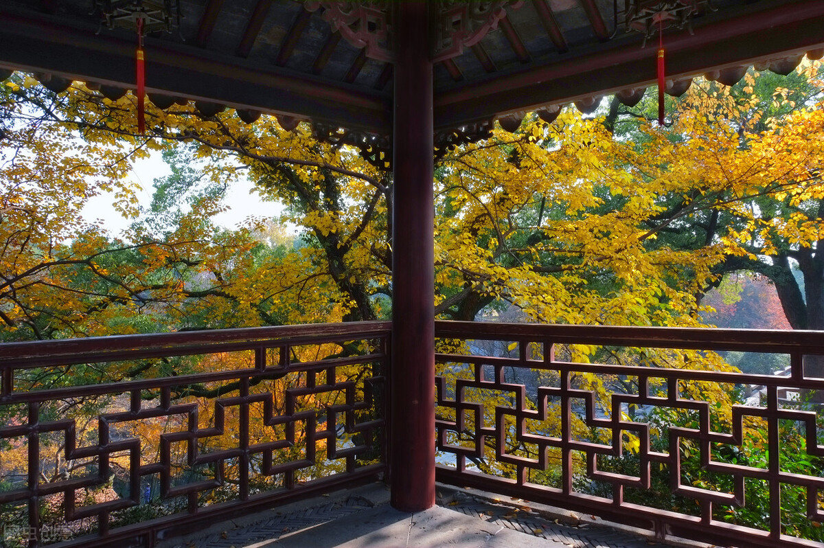 秋天的苏州必去的景点,苏州秋天小众景点推荐