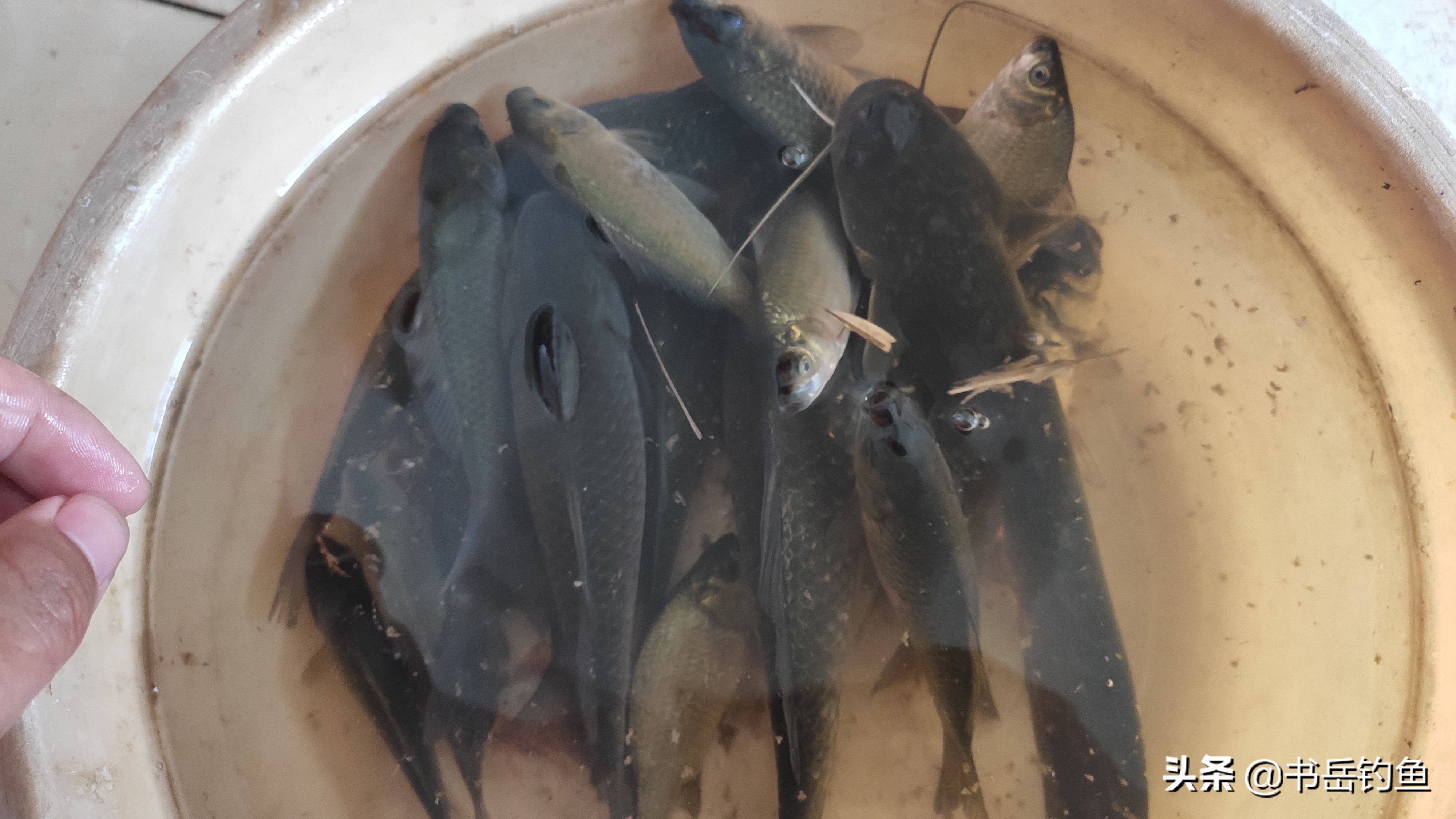 野钓的时候不讲究钓灵,野钓没有口的情况下用什么小药