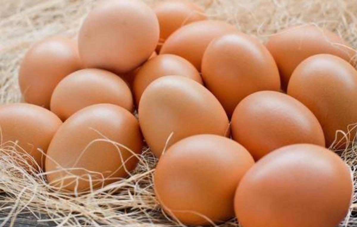 鸡蛋不放冰箱放一年都不坏的方法,鸡蛋保存方法可直接放冰箱保鲜吗