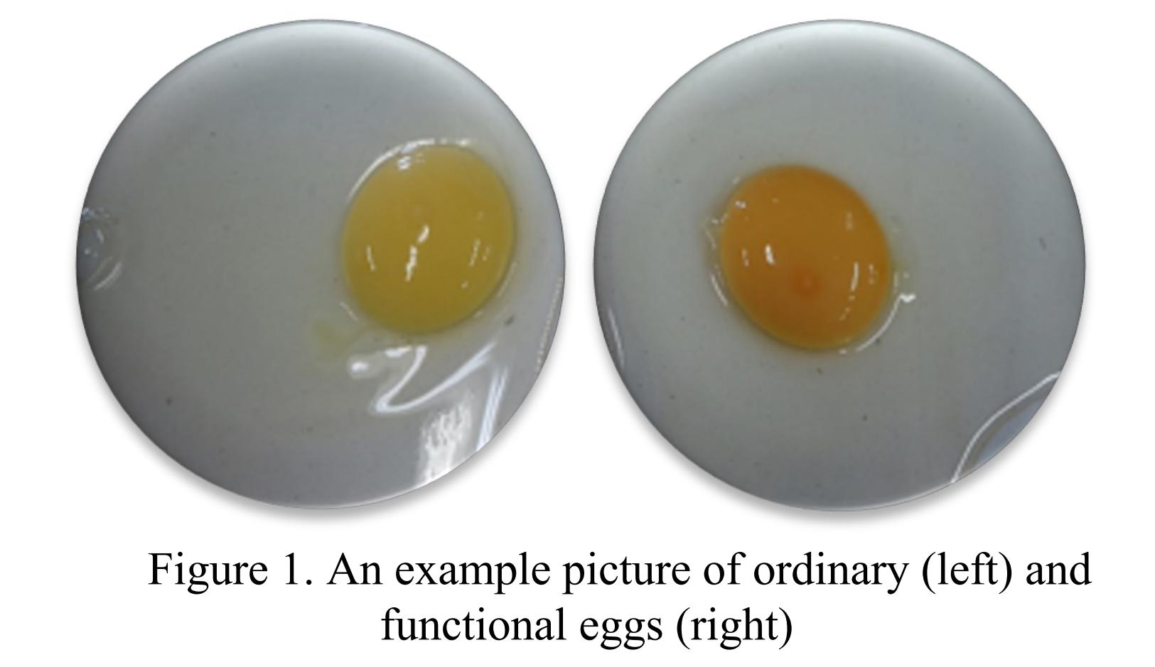 一颗鸡蛋赚多少钱,一颗鸡蛋的成本