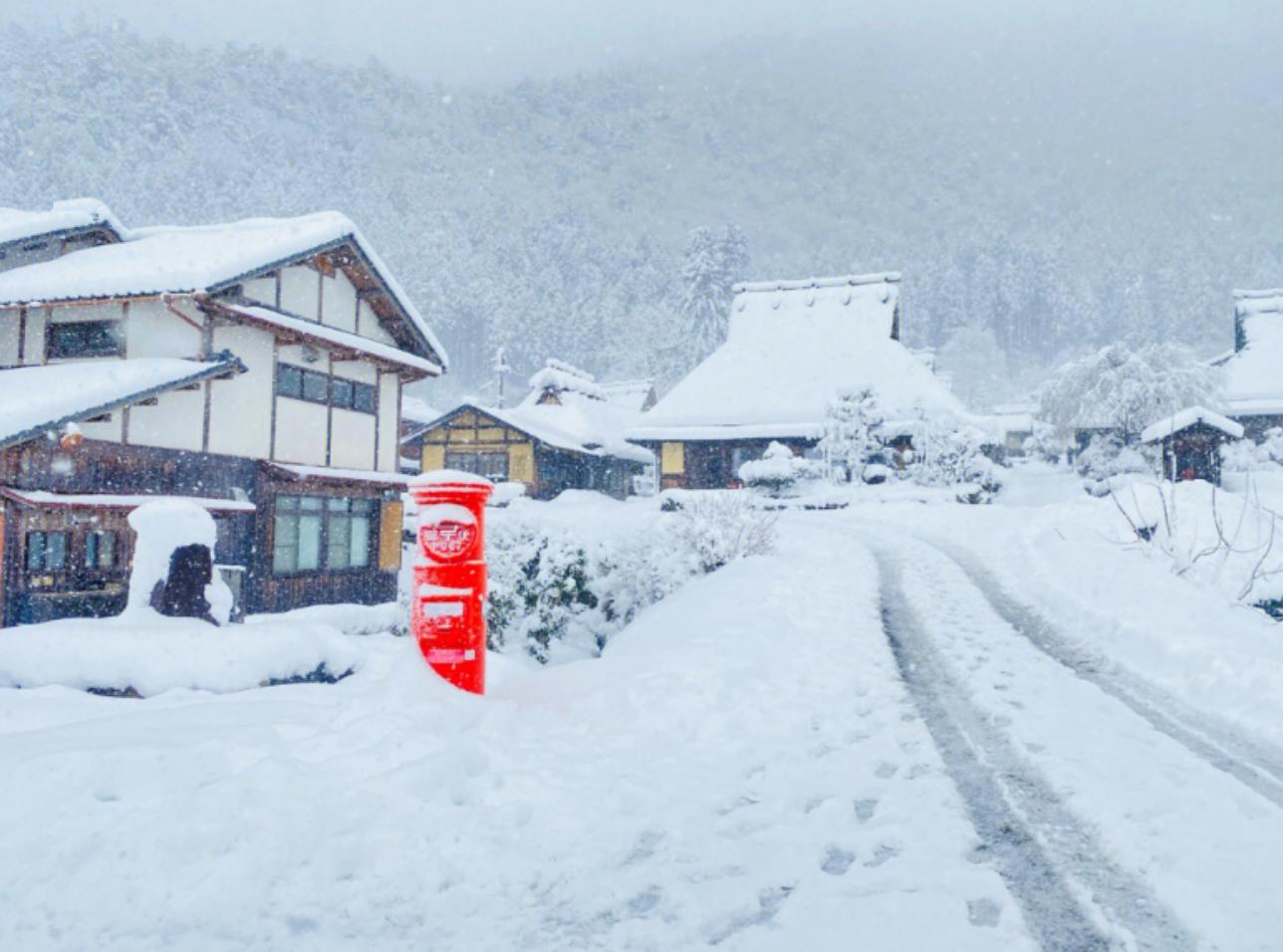 丁尚彪在日本干什么,丁尚彪打黑工纪录片