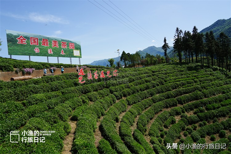 陕西西安旅游自驾攻略,西安踏青自驾游的绝佳去处两日游
