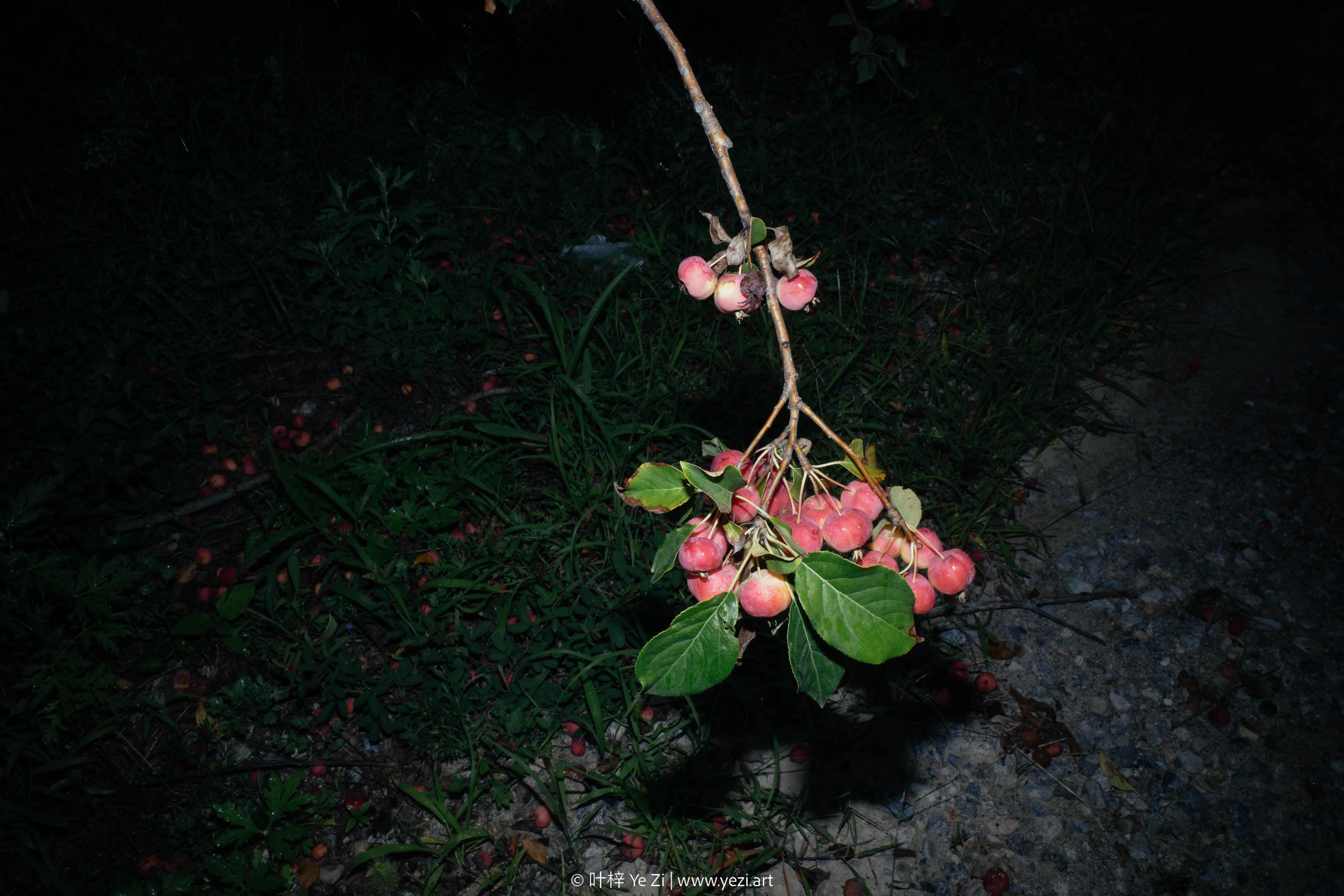 一起做个实验，看看你还能不能拍出“纯小白”的照片？