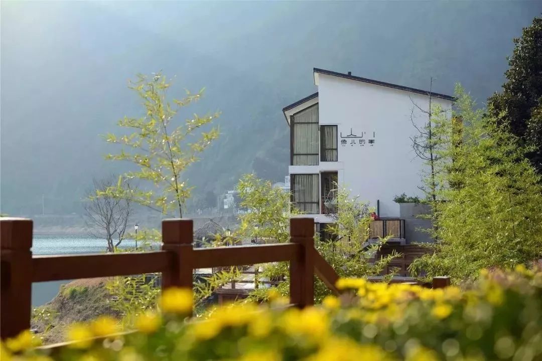 杭州出发2h,睡进千岛湖畔6家美宿，避开人群赏湖景山色丨南方民宿
