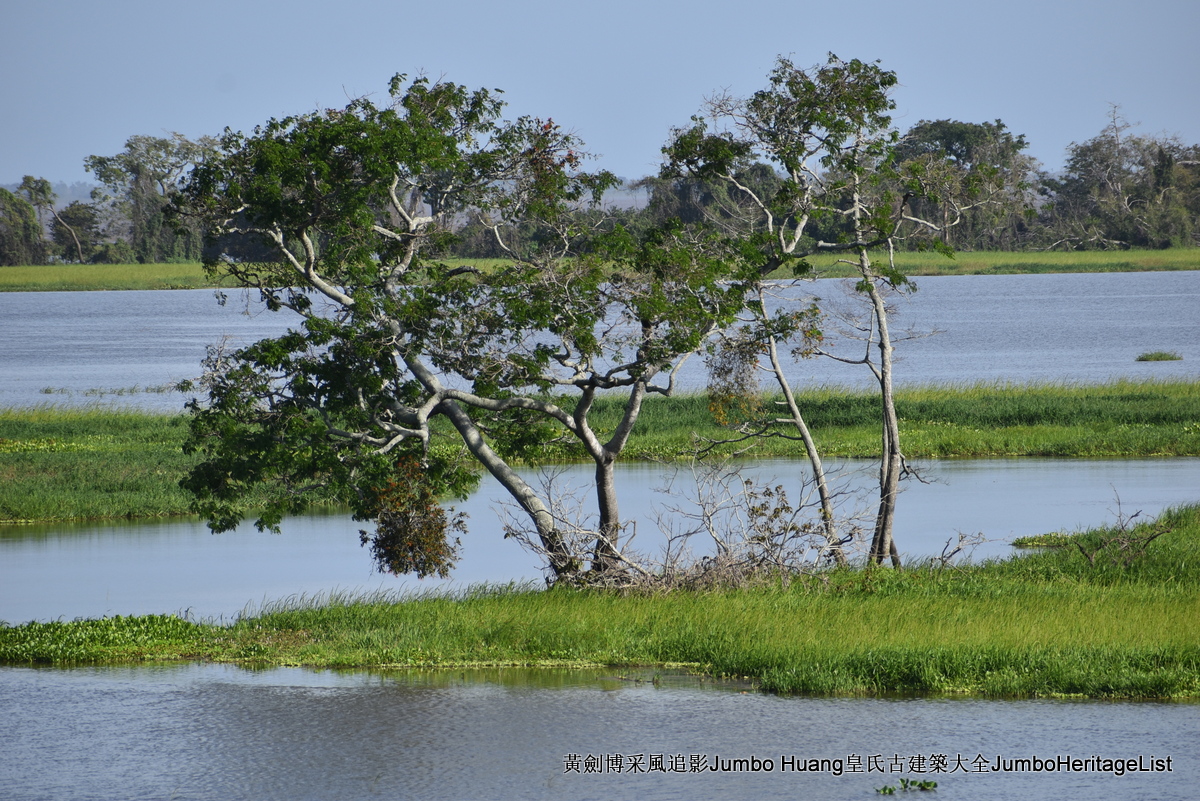 第5047回：消失的亚马逊文明，流失的林下聚居地