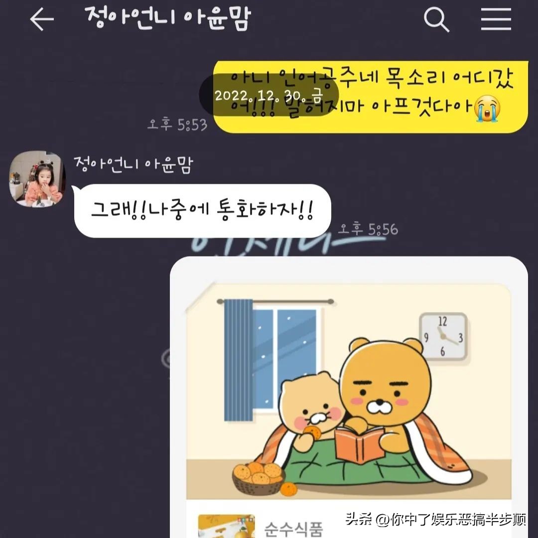 韩国元祖偶像组合成员,韩流元祖女团现状