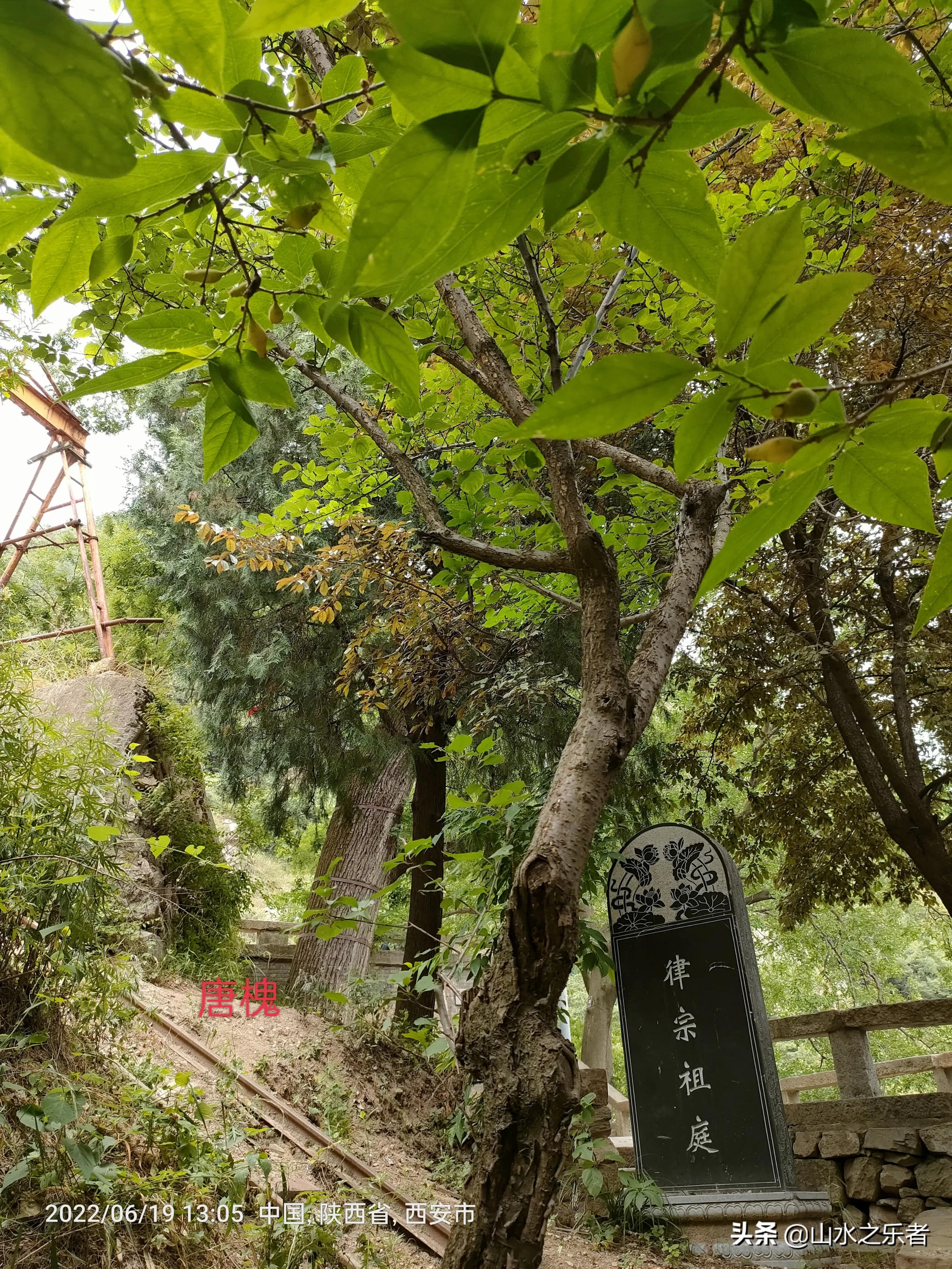 律宗祖庭净业寺纪录片,律宗祖庭净业寺玄都坛