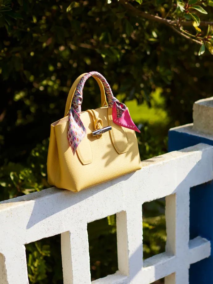 longchamp涔板寘,鍖呭寘鐨勫敖澶存槸longchamp