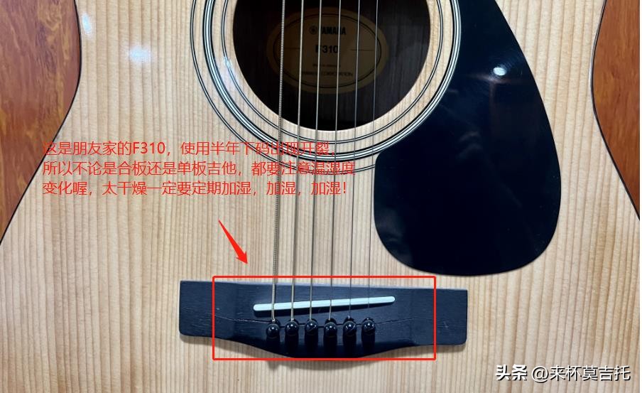 雅马哈f310和费森clr300哪个好,新手吉他选恩雅还是木质