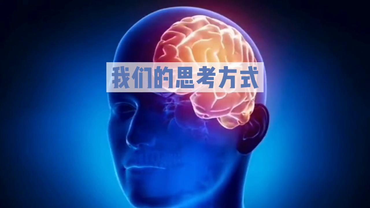 《语言本能》解读,语言本能