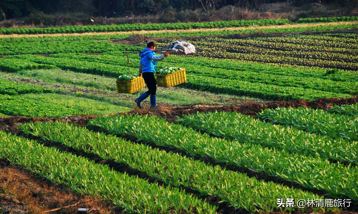 贺州度假温泉,贺州最好的温泉度假村在哪里