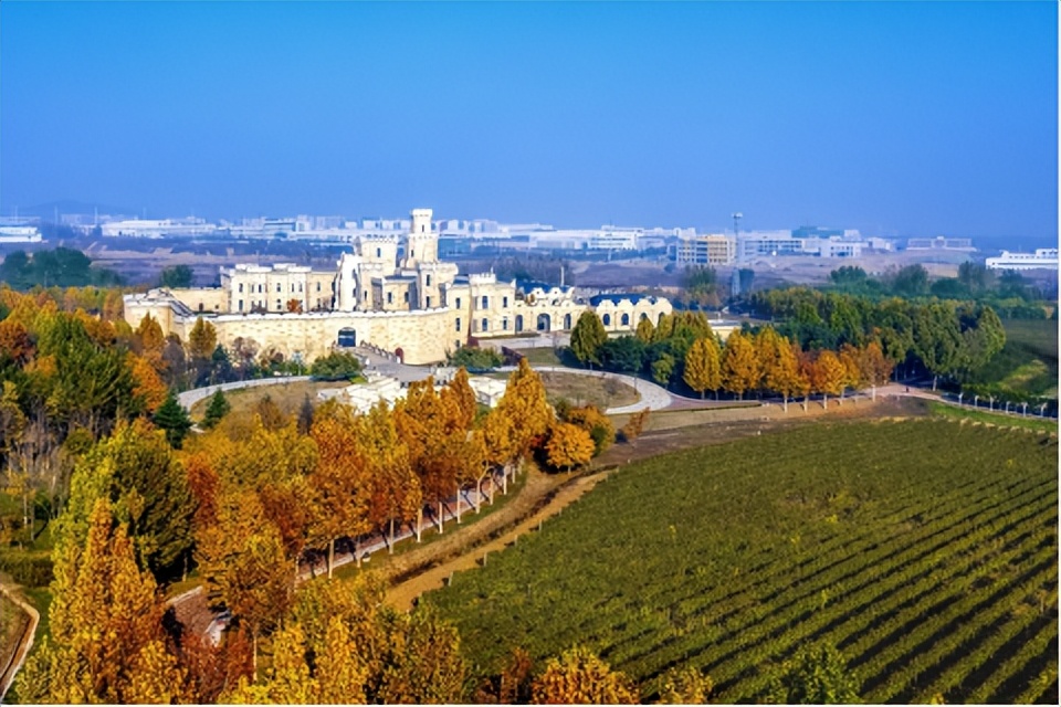 可雅白兰地和ararat白兰地,可雅白兰地和金奖白兰地的区别