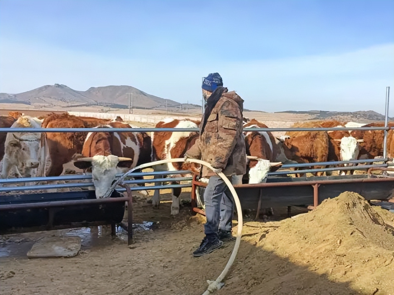 库伦旗养殖新政策,库伦旗养殖致富