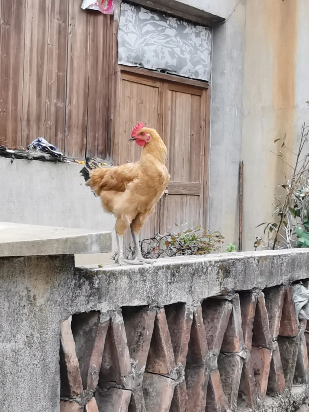浙西南环游，喜欢龙泉，一座干干净净的山间小城