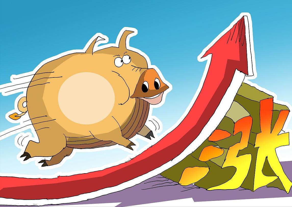 猪价和油价有什么关系,油价猪价粮价有何变化