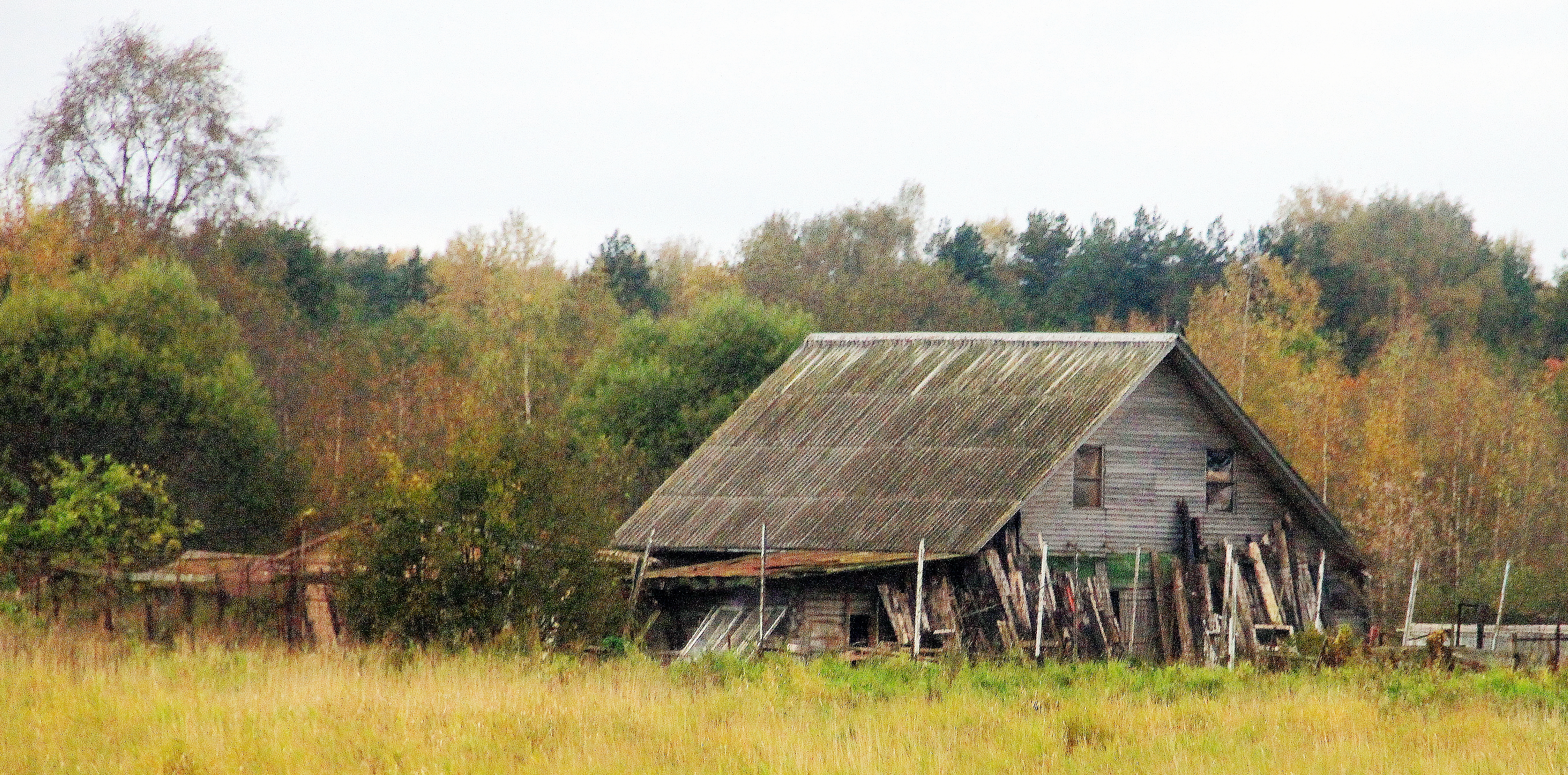 “走进俄罗斯”之九—俄罗斯杂记