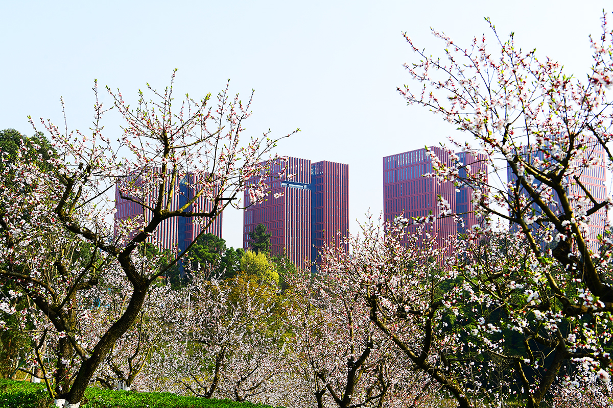 湖光山色美不胜收,湖光山色风景优美