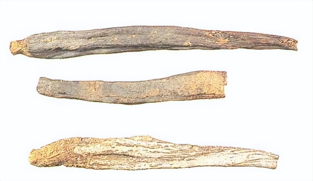 认识红参,带你认识红木