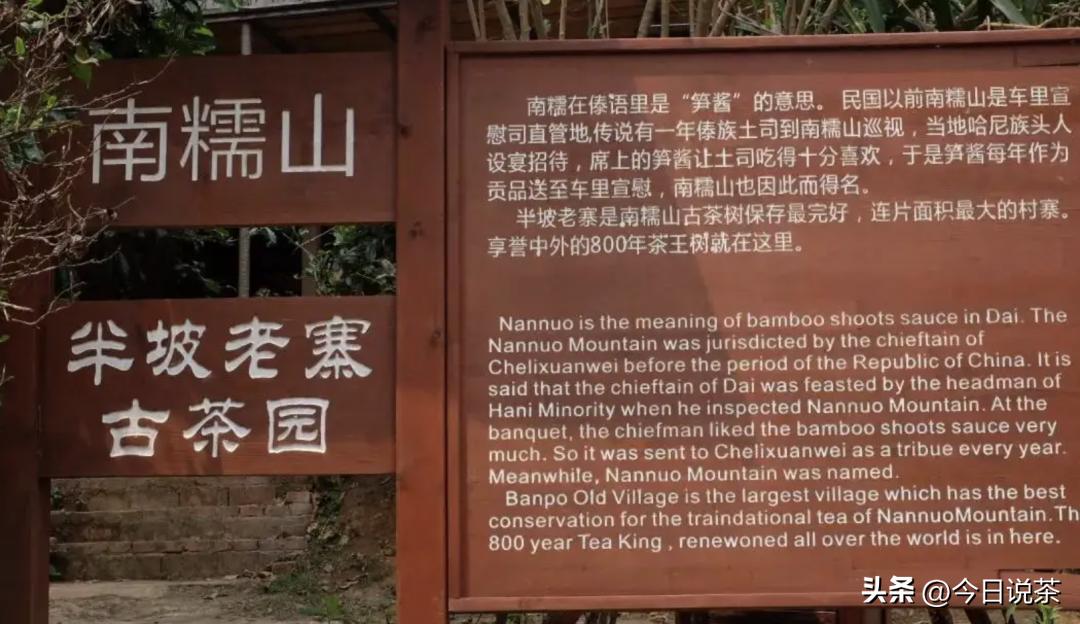 三分钟带你了解云南茶,茶叶小知识一分钟了解滇红茶