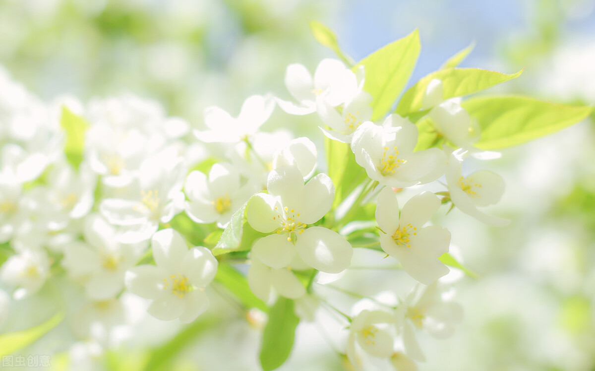 寓言小故事大道理感悟人生,一则通俗易懂的寓言故事