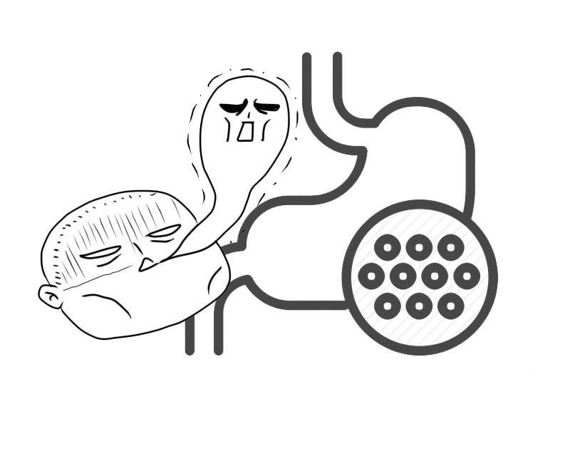 没有杨梅的季节,没有杨梅的夏天原唱