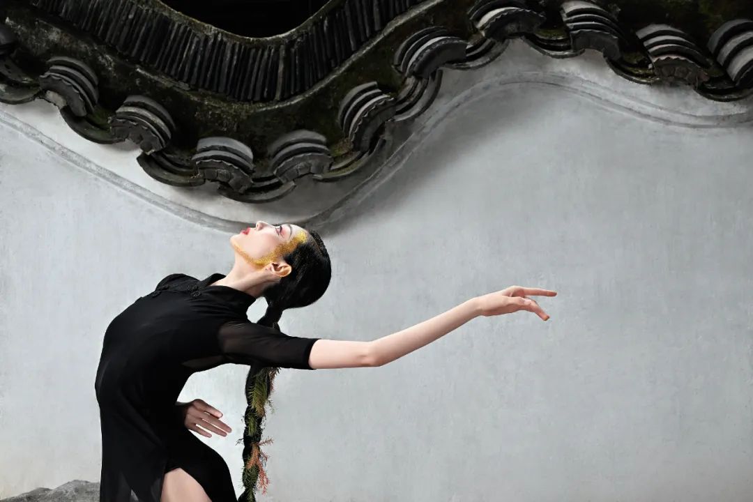 z9对焦测评,z9如何提高预拍的对焦精准