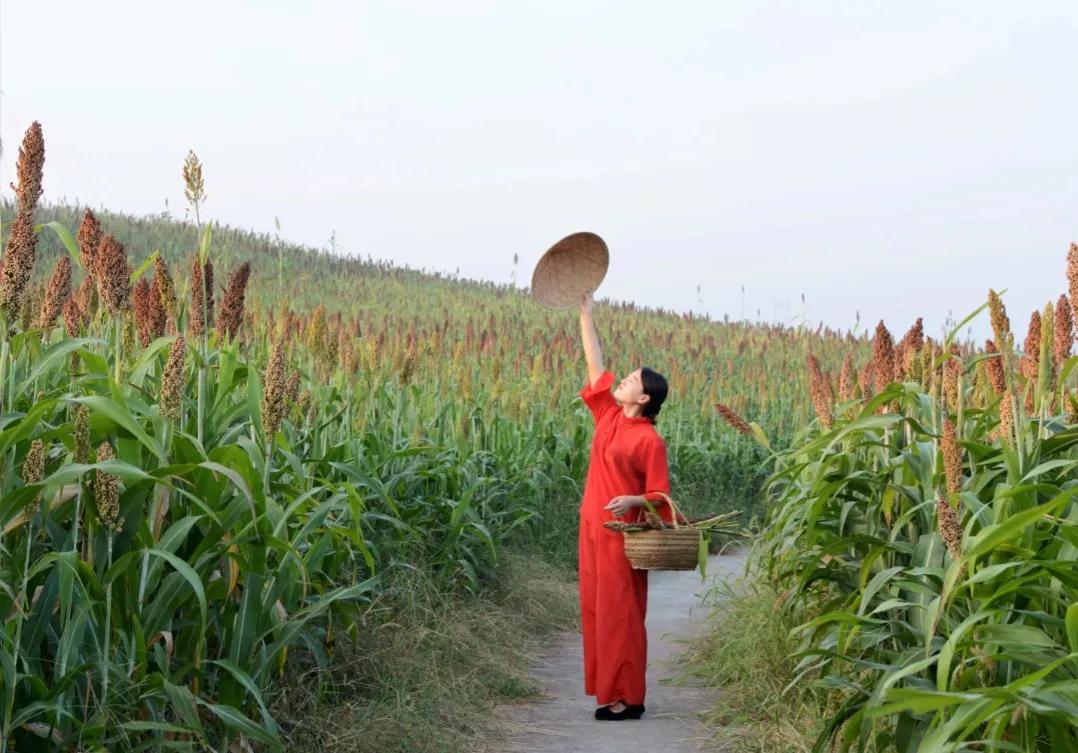 白狗秋和莫言的照片,莫言的白狗荡秋千
