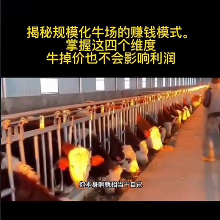 牛场经营模式有哪些,牛场怎么做最挣钱