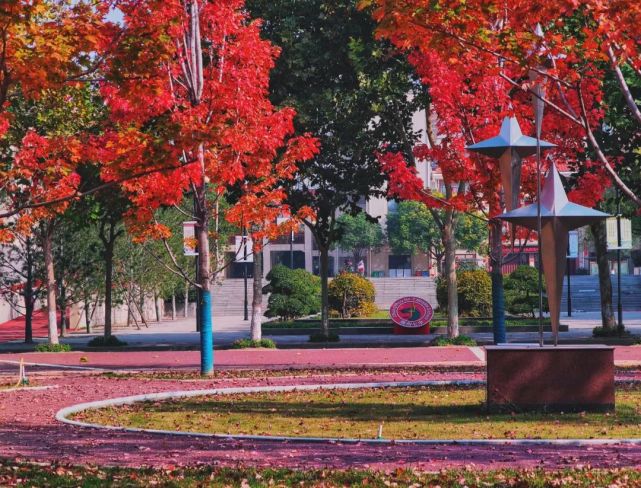 中原古都领航教育现代化国际化|专访郑州市第七高级中学校长王保军