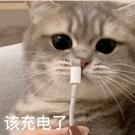 苹果12无线磁吸充电器哪个品牌好,哪个品牌的无线充电器比较安全