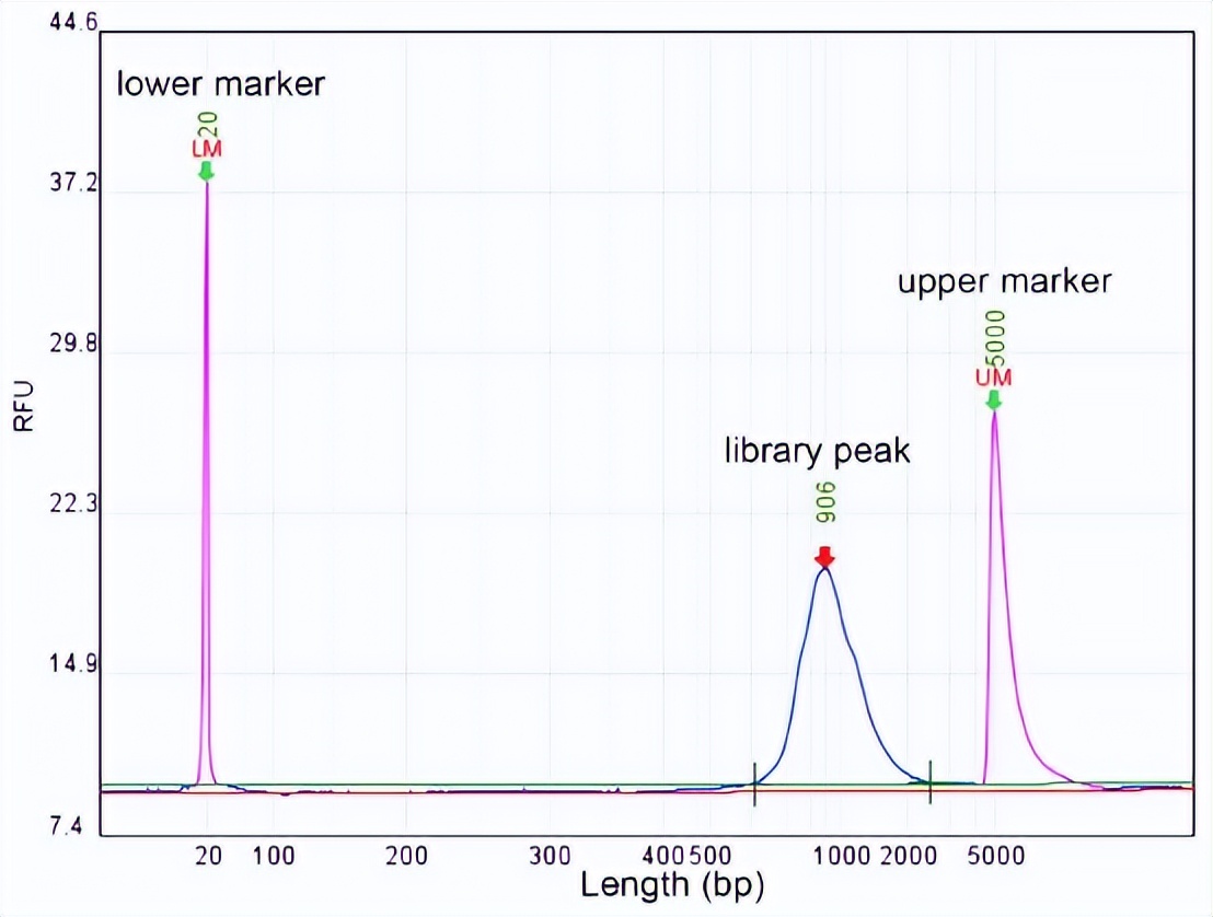 植物rna测序,全长16s测序实验