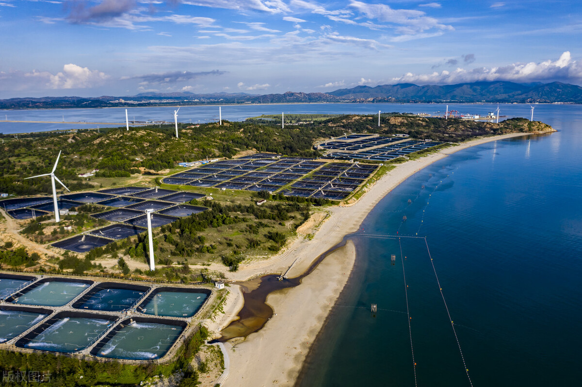 乡村振兴政策扶持项目有哪些,乡村振兴扶持的项目有哪些