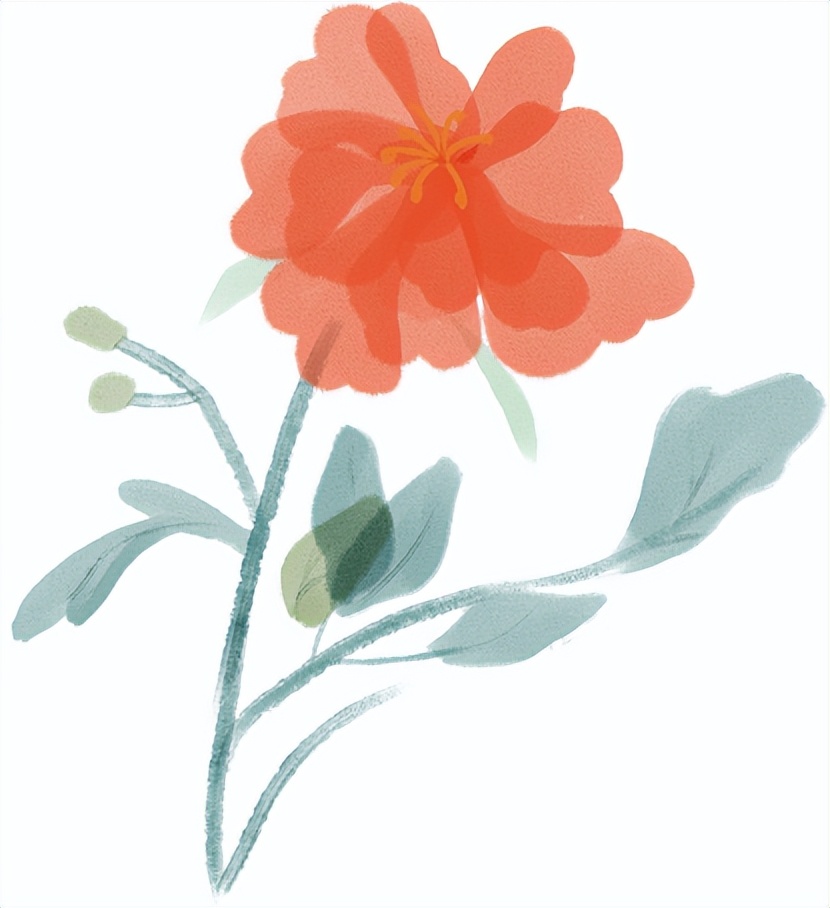 艾灸用大盒还是小盒,艾灸筒好还是艾灸盒好