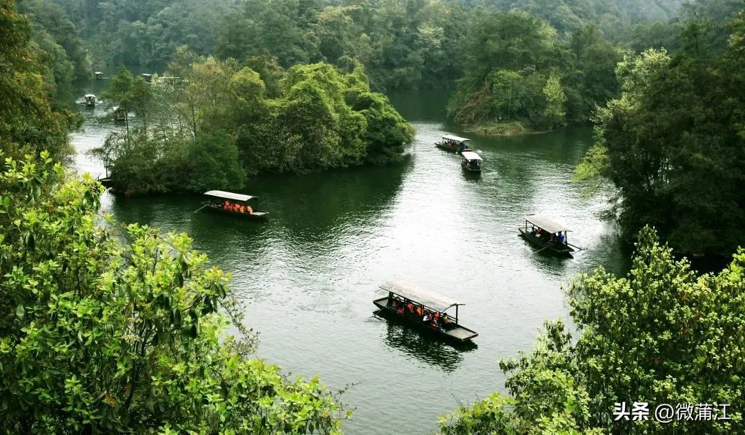 成都市全面推进乡村振兴意见建议,蒲江县乡村振兴