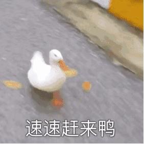 汽车轮胎花纹不一样会影响审车不,车辆年检轮胎型号一样花纹不对