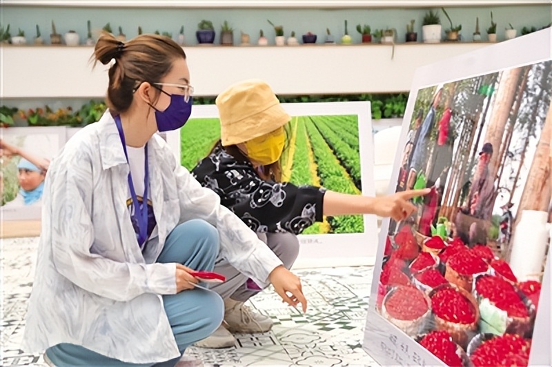 中宁一“杞”向未来