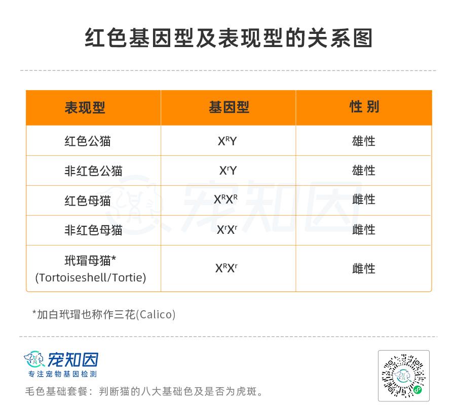 基因克隆最新突破,基因最新突破