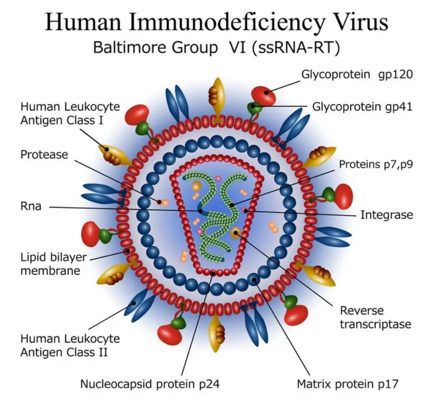年轻男性得了艾滋病能活多久,18岁湖南小伙25天查出有艾滋病