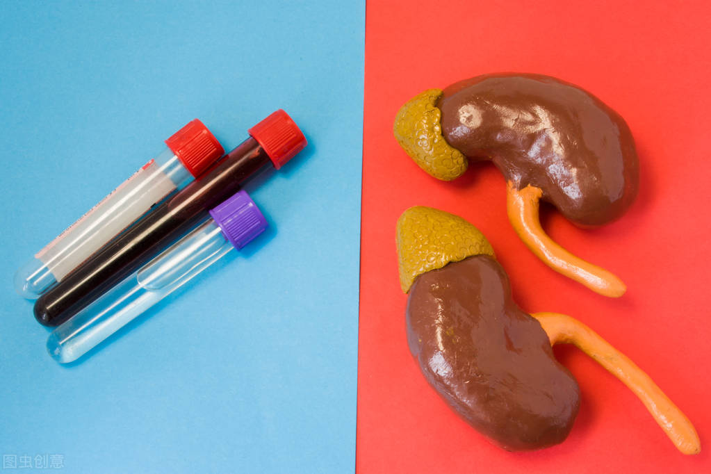 不吃药怎样降尿蛋白,不想肾病发展到尿毒症