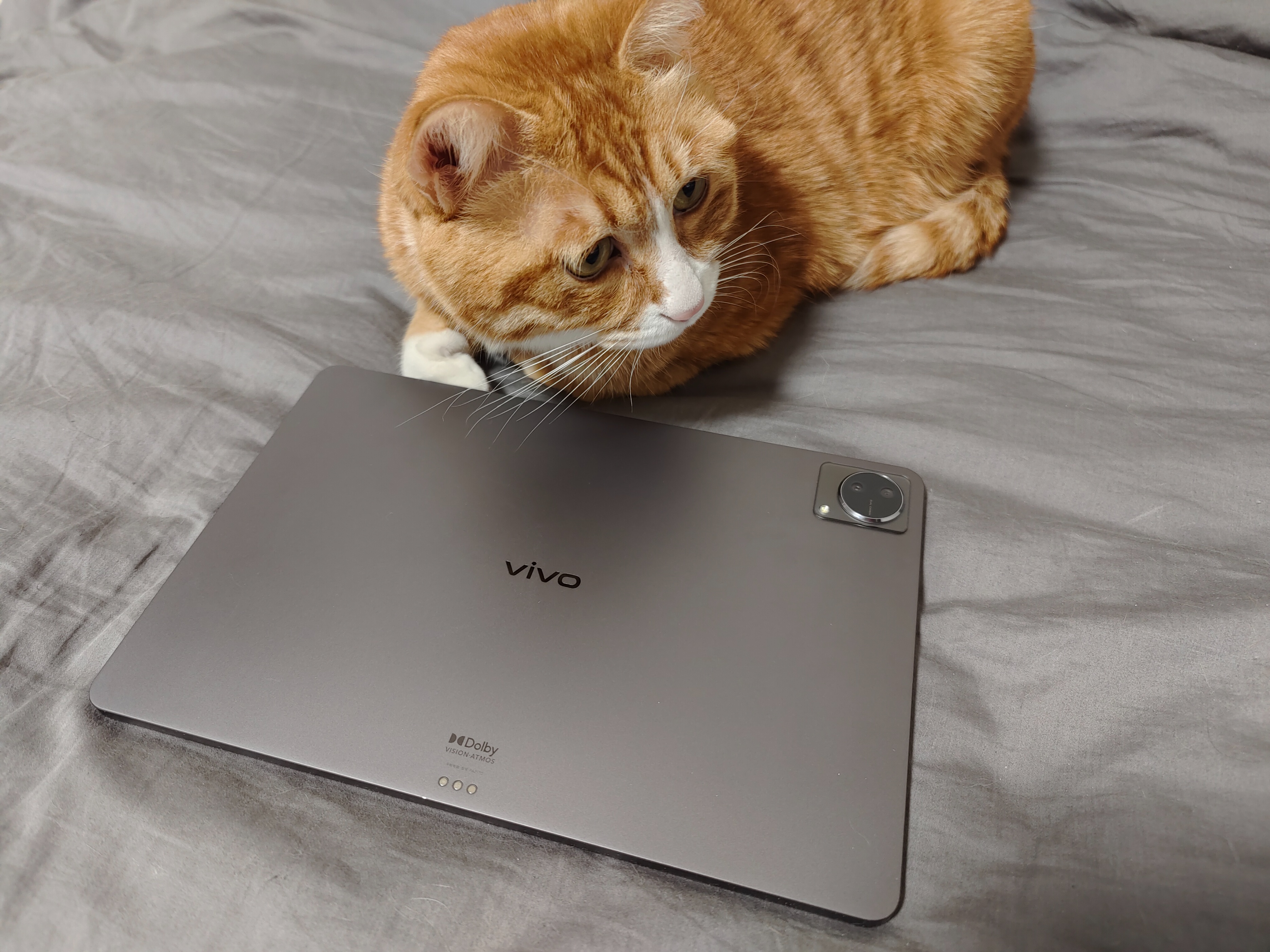 vivopad平板好用吗,vivopad平板到底好不好