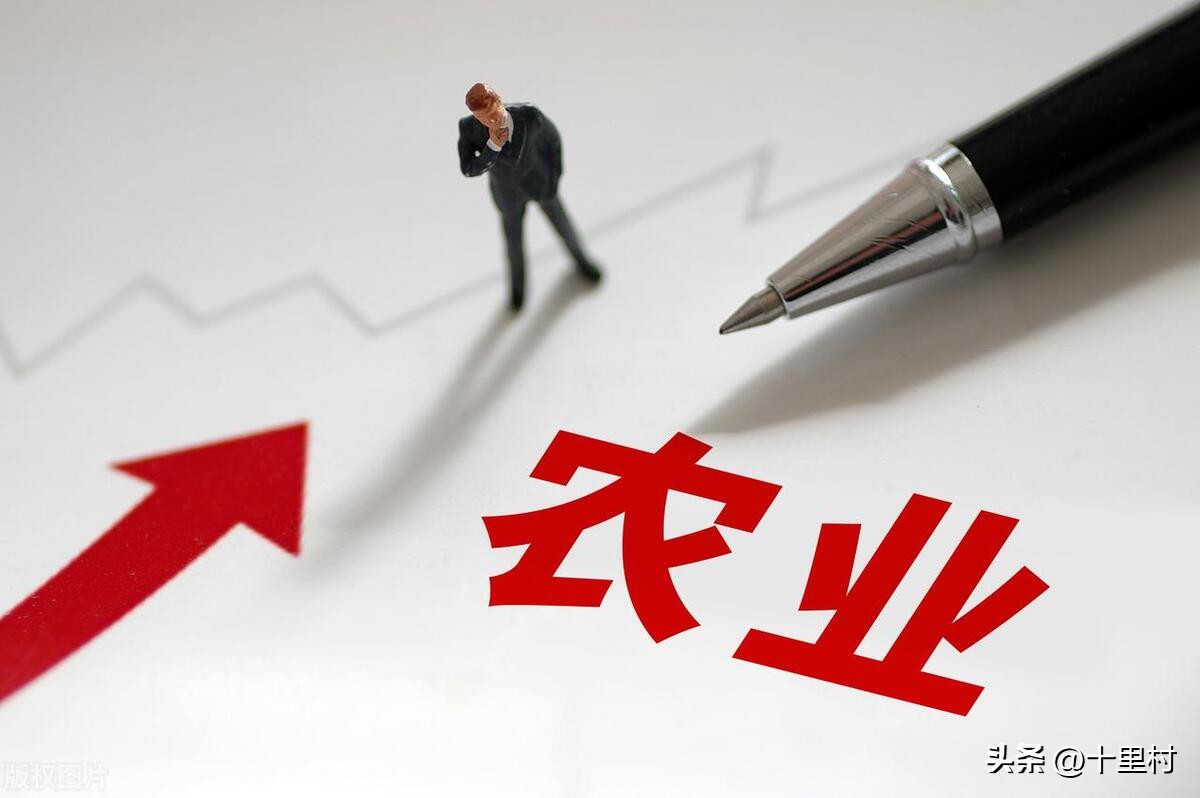 一个人做三农短视频怎么赚钱,三农短视频还有前景吗